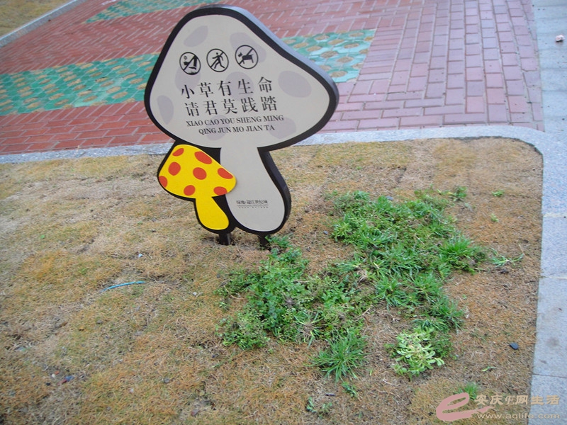 DSC03783_.jpg
