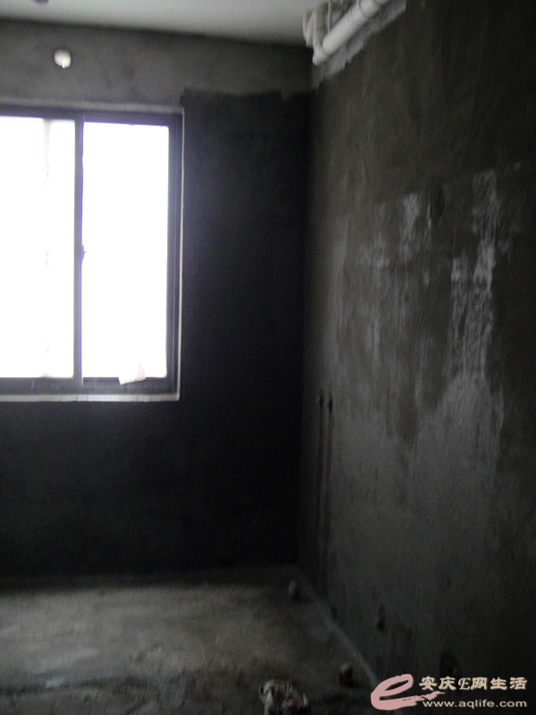 DSC03652_.jpg