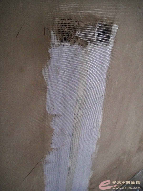 DSC03757_.jpg