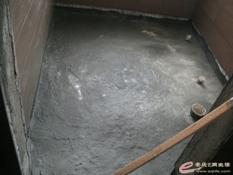 DSC03871_.jpg