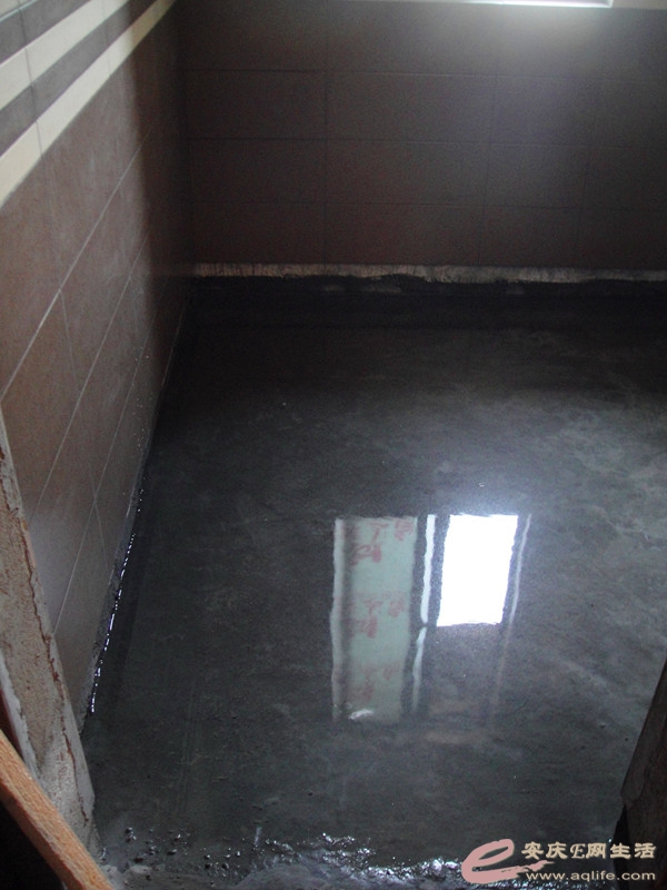 DSC03877_.jpg