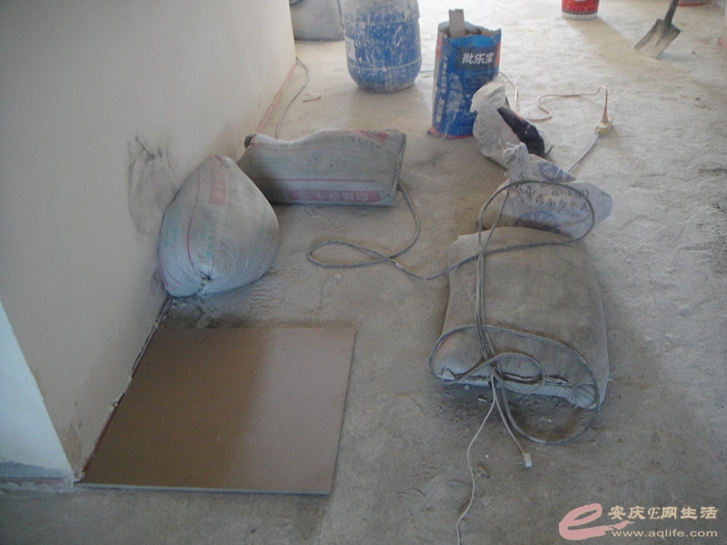 DSC03867_.jpg