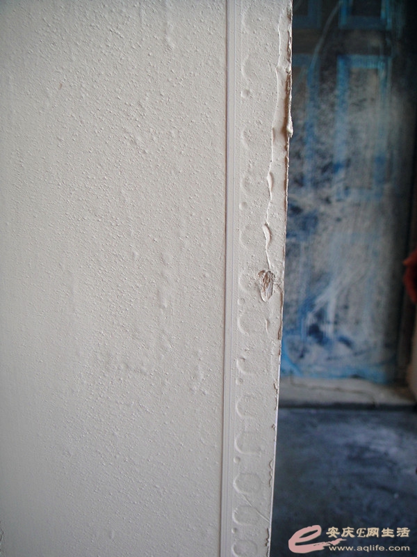 DSC03933_.jpg