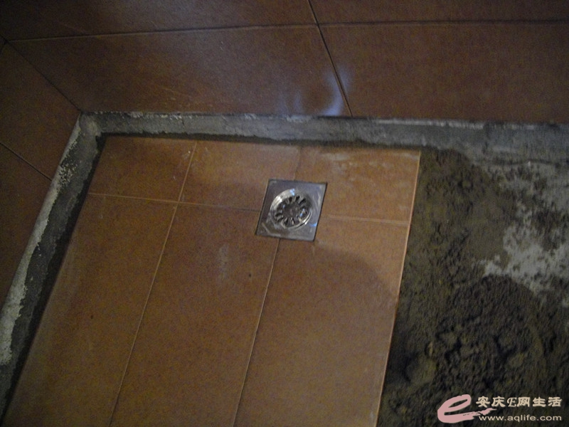 DSC03953_.jpg