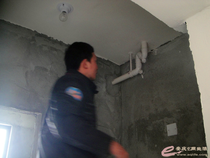 DSC03938_.jpg