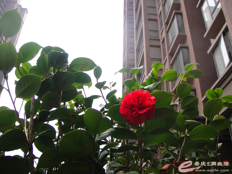 DSC03991_.jpg