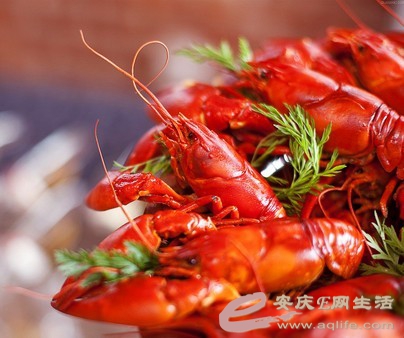 QQͼƬ20140403172054.jpg
