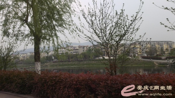 IMG_20140405_114807.jpg