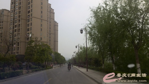 IMG_20140405_114814.jpg
