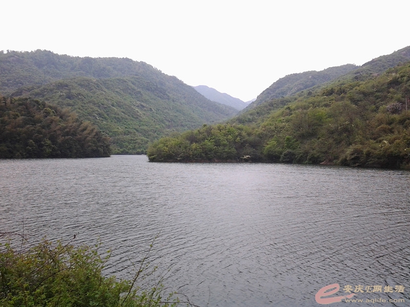 20140406_113850_.jpg