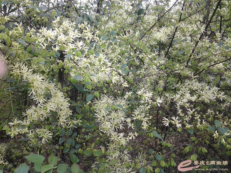 20140406_112550_.jpg