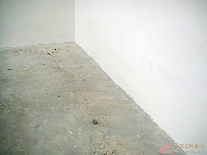 DSC04313_.jpg