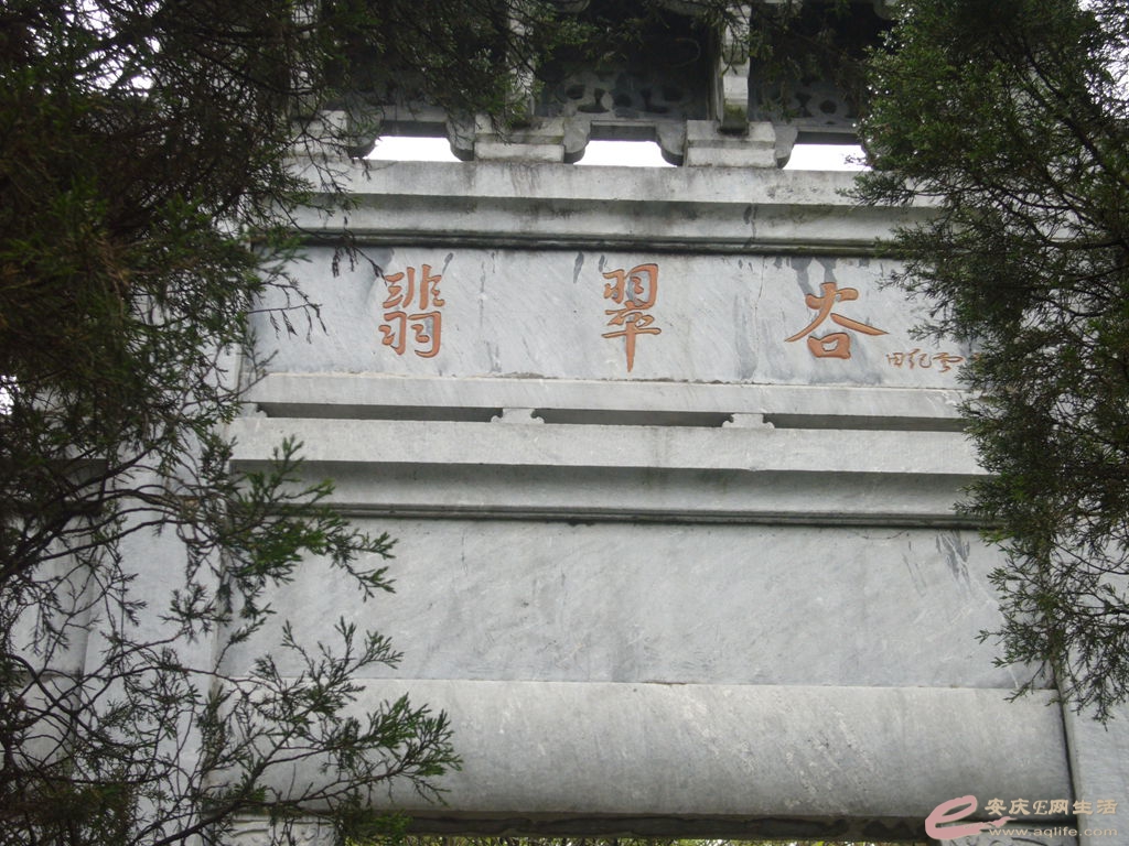 P1040914_.jpg