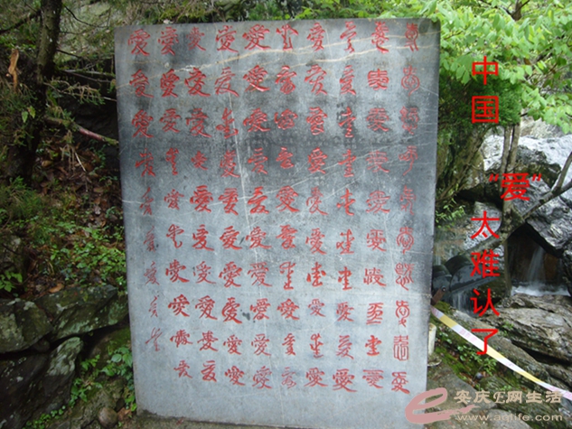 P1040890_.jpg