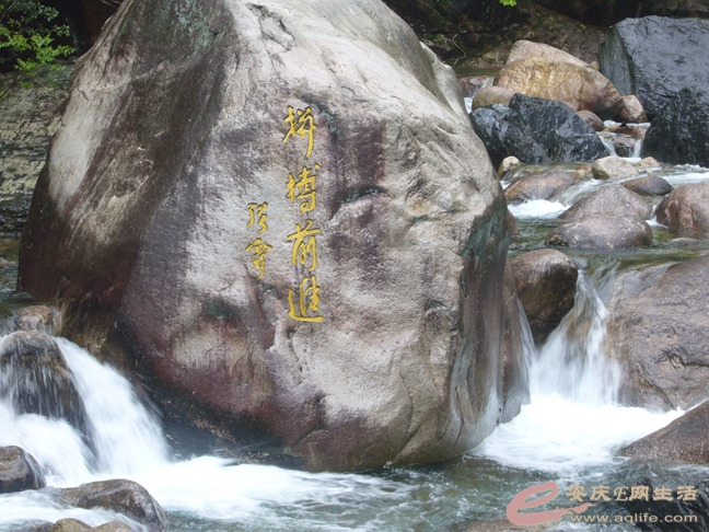P1040898_.jpg
