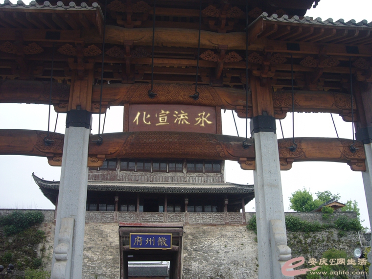 P1040917_.jpg