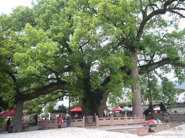 P1040975_.jpg