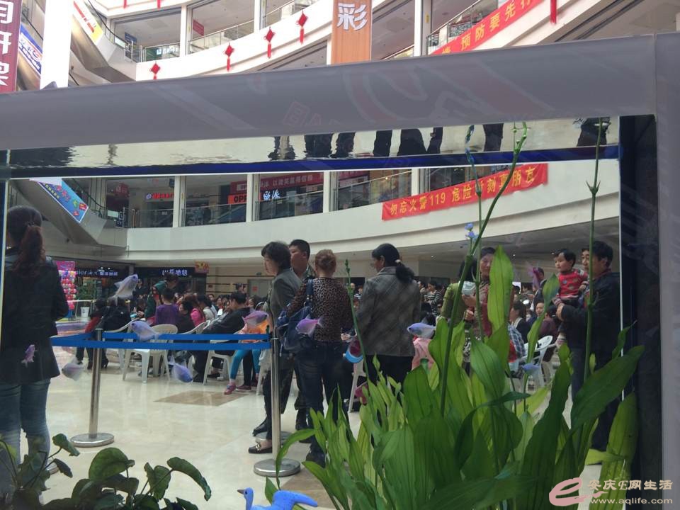 QQͼƬ20140427223344.jpg