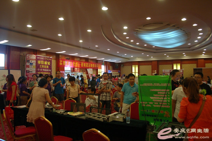 DSC_3905.jpg