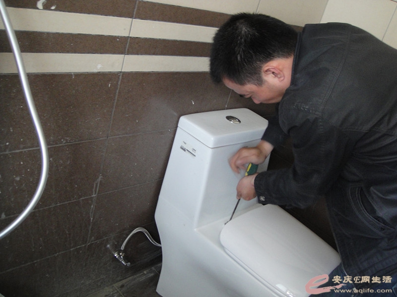 DSC04856_.jpg
