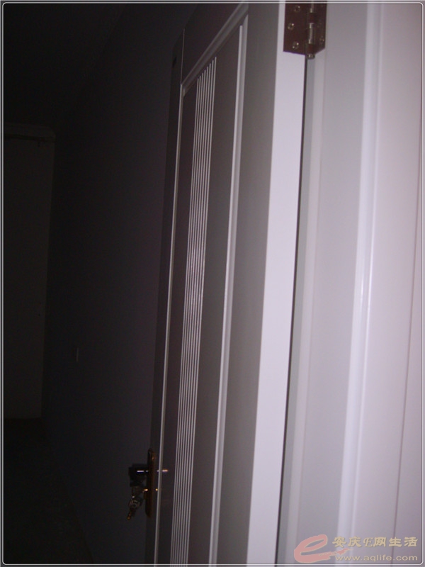 S8302138.jpg