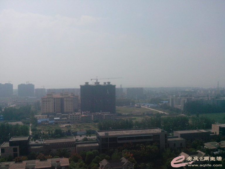IMG_20140917_104709.jpg