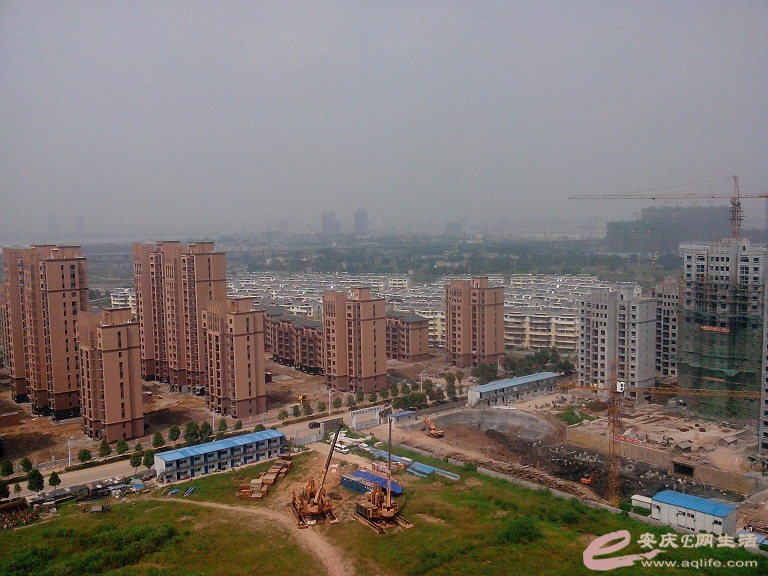 IMG_20140917_105245.jpg