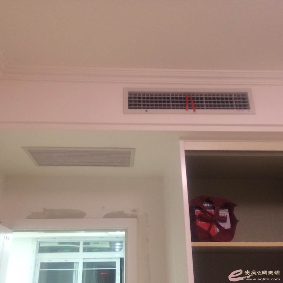 224.jpg