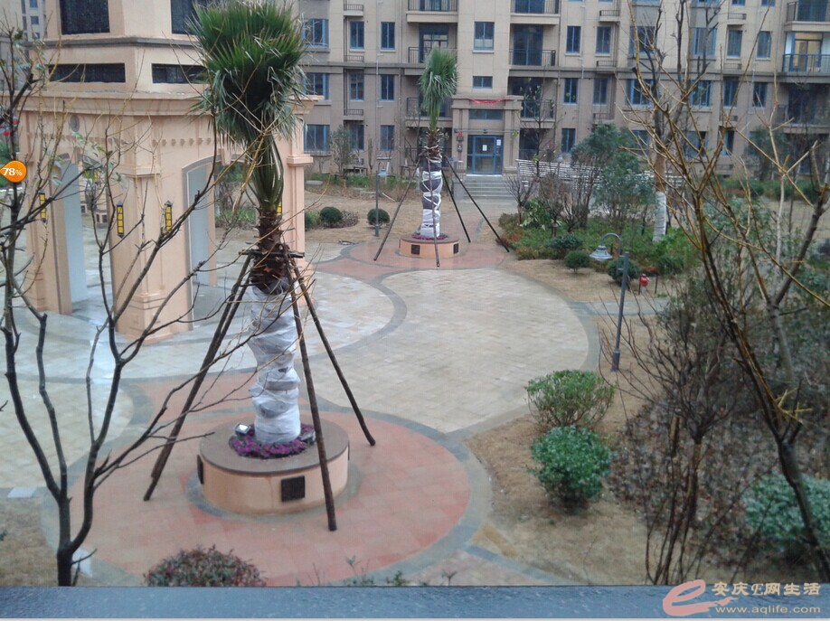 QQͼƬ20150128101852.jpg