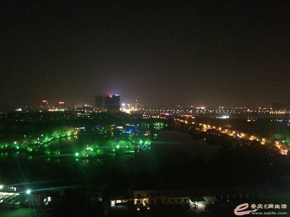 268.jpg