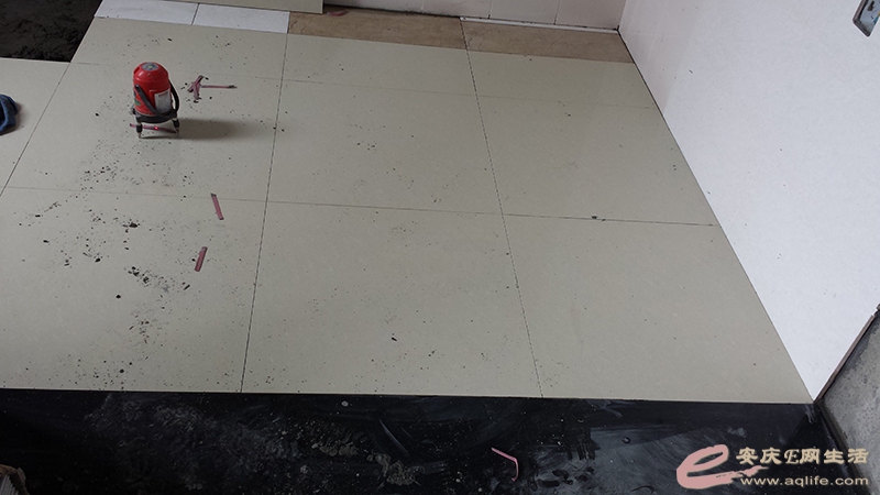 20150418_121311.jpg