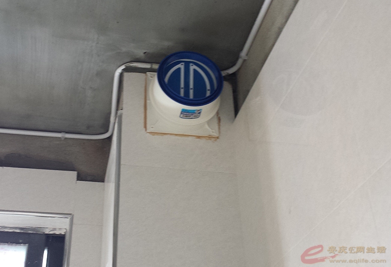 20150418_121352.jpg
