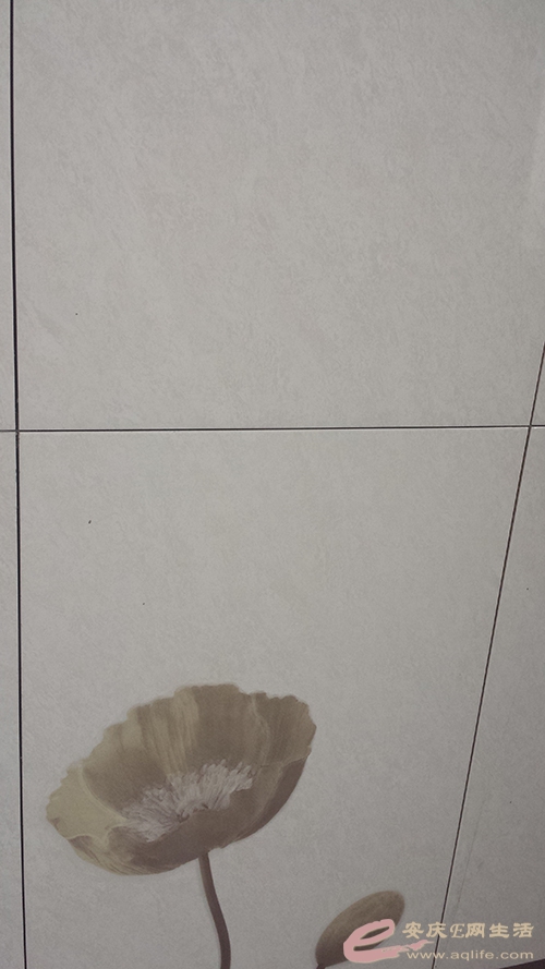 20150421_124356.jpg