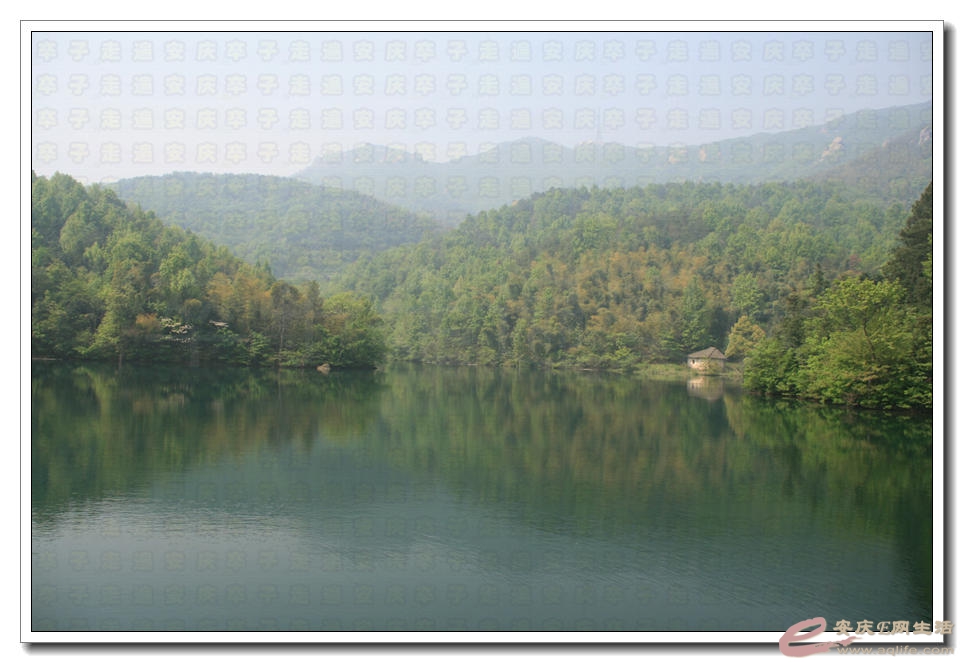 20150425 018.jpg
