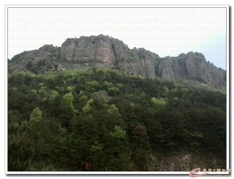 20150412 111.jpg
