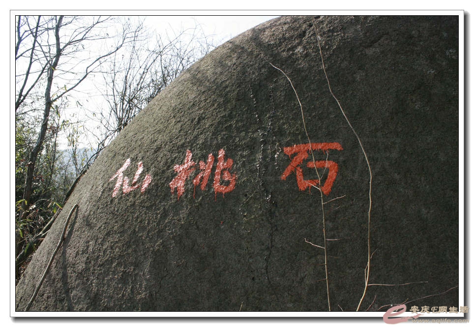20150124 142.jpg