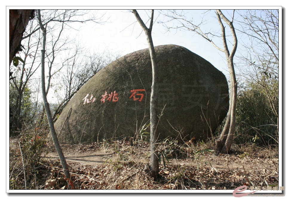 20150124 143.jpg