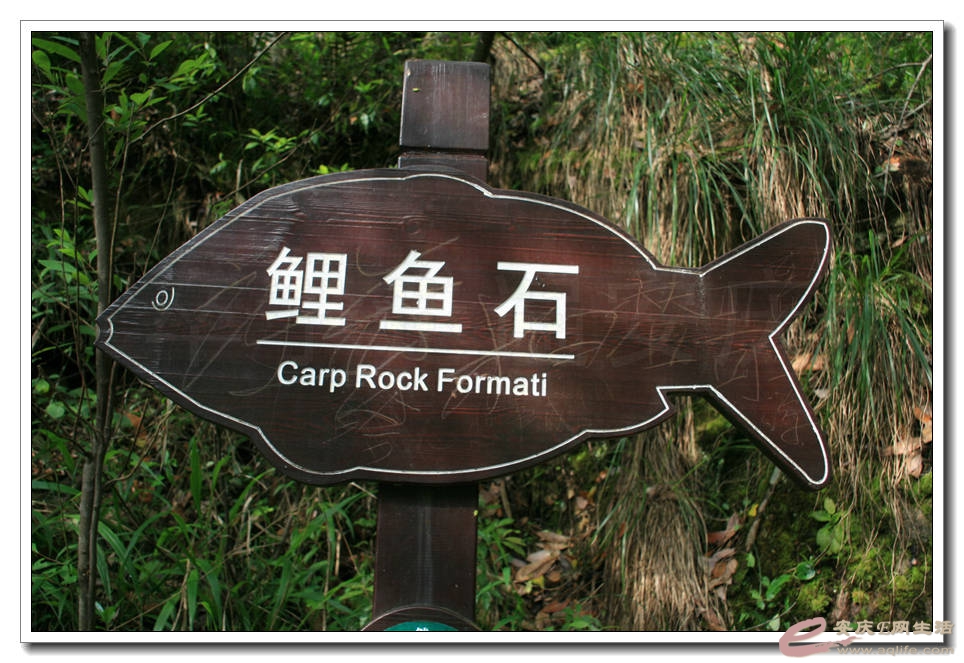 20150501 302.jpg