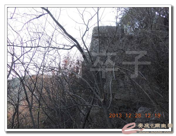 2013 003.jpg