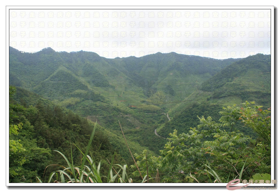 20150517 194.jpg