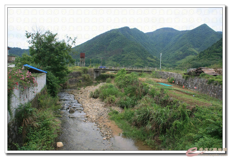 20150517 209.jpg