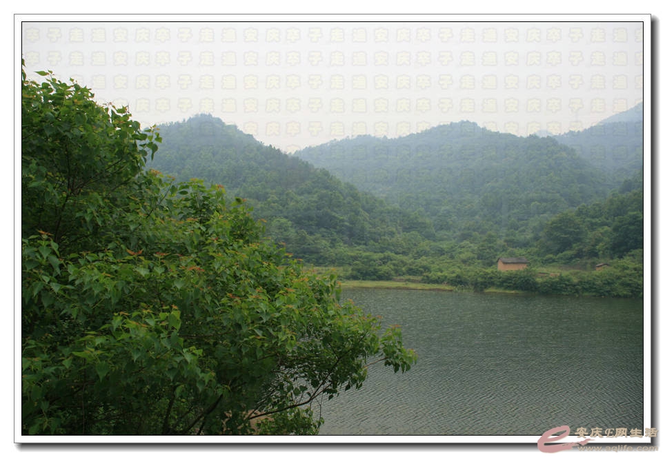 20150523 006.jpg