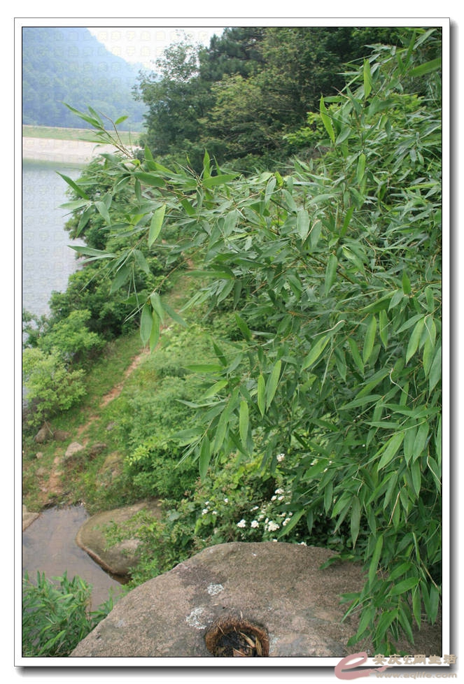 20150523 009.jpg