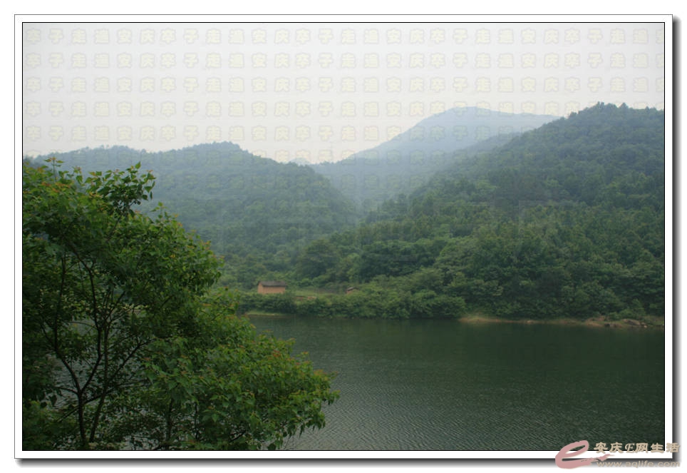 20150523 012.jpg