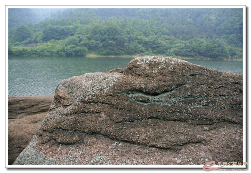 20150523 019.jpg