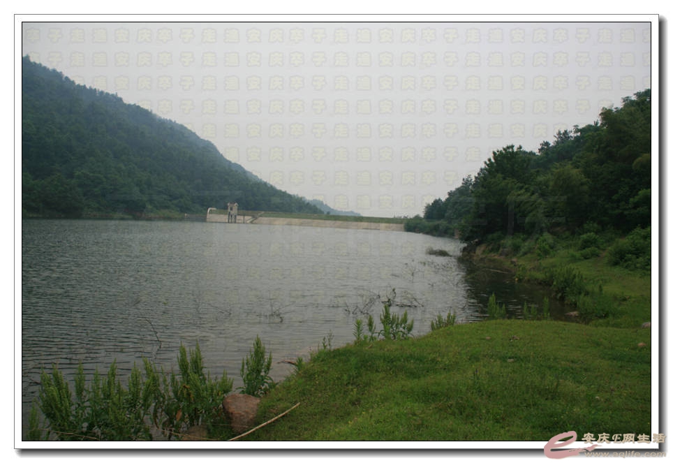 20150523 027.jpg