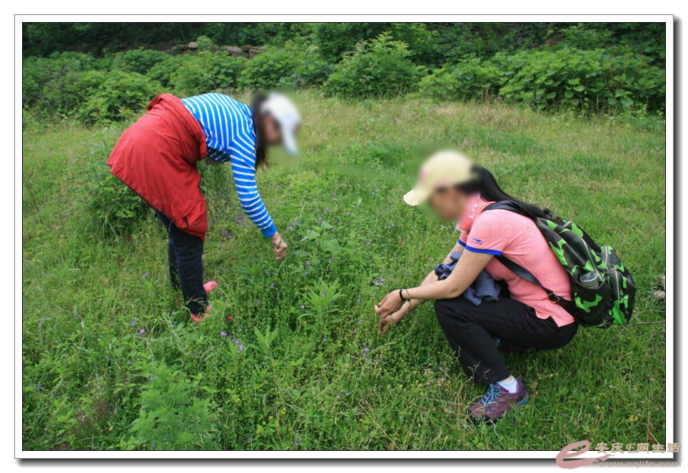 20150523 028.jpg