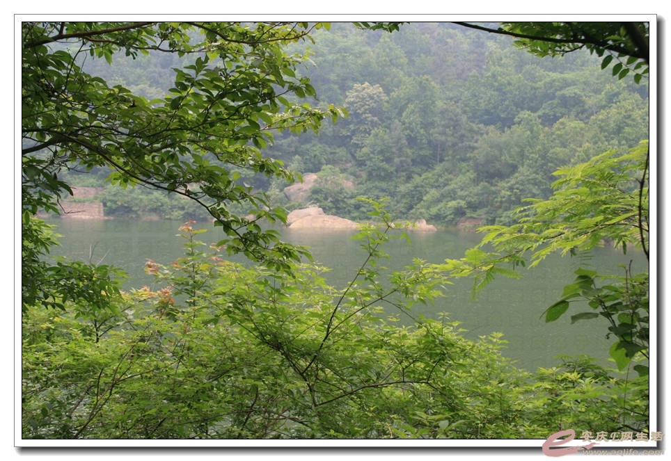 20150523 032.jpg