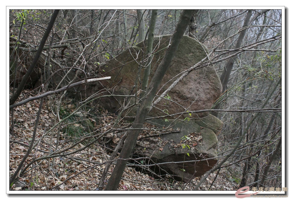 20150117 364.jpg