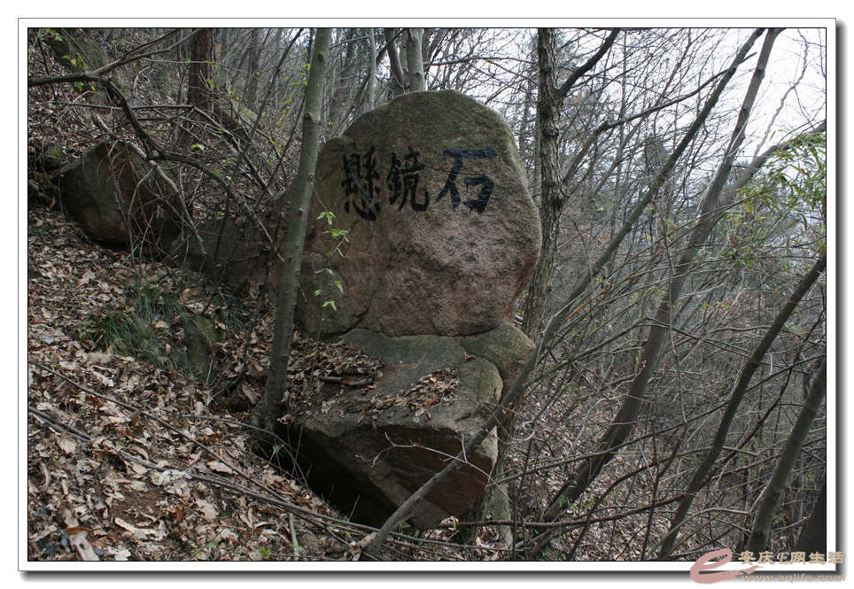 20150117 366.jpg